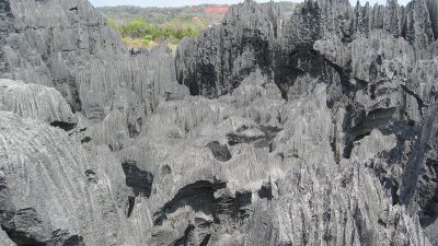 El “Bosque de piedra” más grande del mundo se encuentra en la isla más antigua del mundo