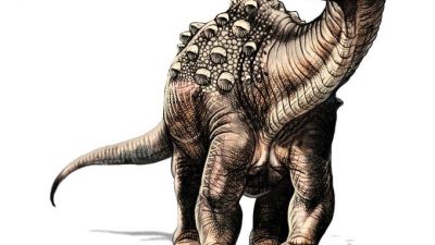 Descubren el primer dinosaurio que vivió en Ecuador