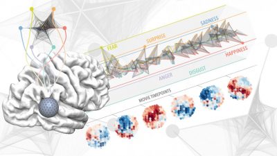 La experiencia emocional de una vida cabe en 3 centímetros de cerebro