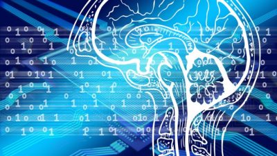 Descubren el mayor centro computacional del cerebro
