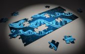 La genética determina las creencias religiosas y políticas