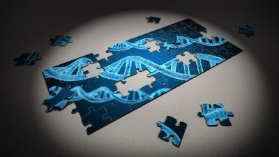 La genética determina las creencias religiosas y políticas