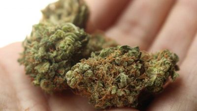 Estudio sugiere que legalizar la marihuana incrementa su consumo excesivo