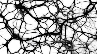 Vida después de la muerte (de las neuronas)