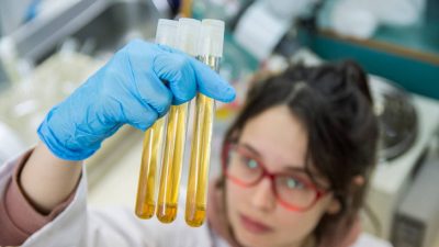 Producen nanocápsulas de origen natural para conservar alimentos