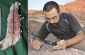 Descubren una nueva especie de dinosaurio carnívoro que habitó la Patagonia hace 90 millones de años