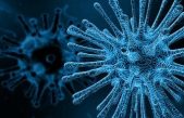 ¿Los pacientes que se recuperan del coronavirus pueden infectarse otra vez?