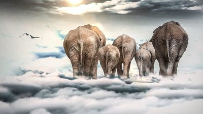 Las nubes pesan lo mismo que 83 elefantes ¿cómo hacen para flotar?