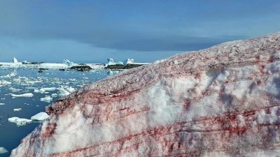 La nieve de la Antártida se vuelve de color ‘rojo sangre’