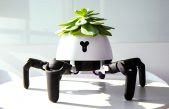 Hexa, el robot que saca a tus plantas de paseo