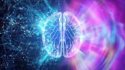 El cerebro tiene propiedades asombrosas