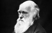 Demuestran una teoria de Darwin 150 años después de su muerte