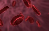 Los expertos comparten qué grupo sanguíneo tiene menor riesgo de contraer el coronavirus