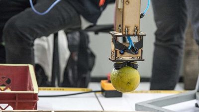 Un sistema robótico clasifica las naranjas