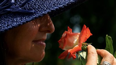 El olor altera los patrones neuronales de la memoria