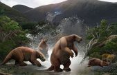 Paleontólogos de Argentina y Ecuador presentaron un “Yeti sudamericano” de más de 10 mil años de antigüedad