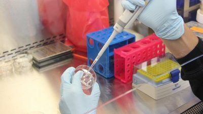¿Qué futuro le espera al coronavirus?