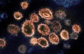 Buscando rasgos genéticos que hacen a alguna gente joven más vulnerable al coronavirus