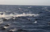 Un oasis de vida en el lugar más insospechado: dentro de rocas volcánicas bajo el mar