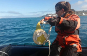 Encuentran toxinas en la Antártida por primera vez