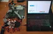 Crean un robot-insecto con neuronas artificiales que modifica su movimiento en tiempo real