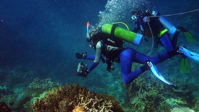 Instructores de buceo aprovechan la cuarentena para restaurar corales