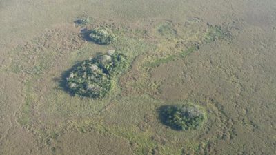 Descubren 4.700 montículos construidos por los primeros pobladores del Amazonas