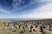 Un soldado británico confirmó por primera vez un caso de Coronavirus en las Islas Malvinas