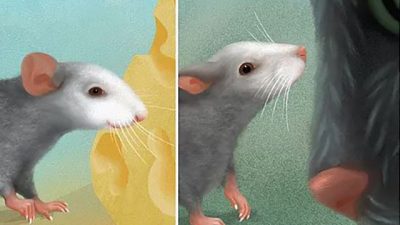 Los ratones también reflejan en su rostro las emociones que sienten