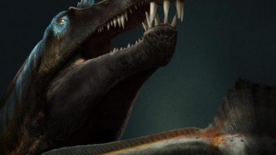 El «santo grial» de los dinosaurios, aún más raro de lo que se creía