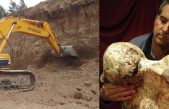Hallaron un “eslabón perdido” de 700 mil años de antigüedad en la evolución de los perezosos gigantes