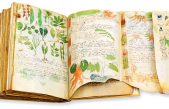 Manuscrito Voynich, el enigmático libro que nadie ha logrado descifrar