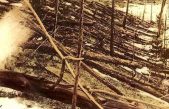 Un gran objeto de hierro que vino y se fue creó la misteriosa explosión de Tunguska