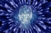 Identificada la zona del cerebro donde reside la inteligencia ejecutiva
