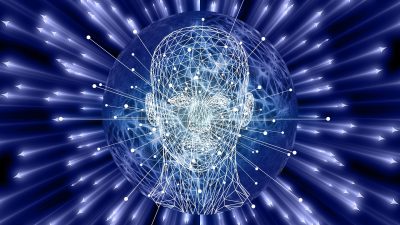 Identificada la zona del cerebro donde reside la inteligencia ejecutiva