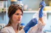 Proyecto Pan-Cáncer. En busca del genoma de los tumores
