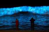 Espectacular fenómeno: Bioluminiscencia en playas de California