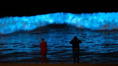 Espectacular fenómeno: Bioluminiscencia en playas de California