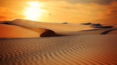 El lenguaje silencioso de las dunas, ¿sabías que se ‘comunican’?