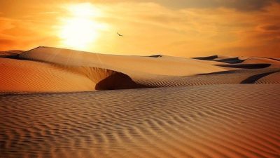 El lenguaje silencioso de las dunas, ¿sabías que se ‘comunican’?