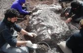 Hallaron dinosaurios y una extraordinaria diversidad de fósiles en Santa Cruz