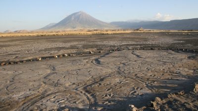 Huellas fosilizadas sugieren que las mujeres salían en grupo a buscar comida hace 19.000 años
