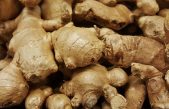 Jengibre: más que superalimento, remedio santo para casi todo