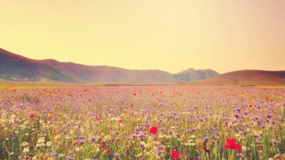 Estudio muestra que las personas viven en una alarmante desconexión de la naturaleza