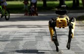 Un español de 22 años desafía a Boston Dynamics con su perro robot