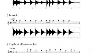 El ritmo musical tiene raíces evolutivas muy profundas y está presente en algunos animales
