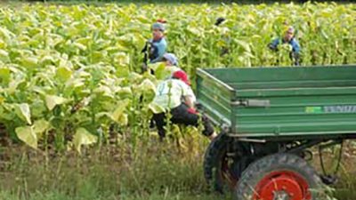Día Internacional de la lucha contra el uso indebido y el tráfico ilícito de drogas