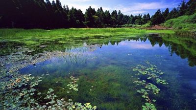 Oasis de silencio en el corazón de las ciudades