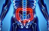 Una investigación intestinal profundiza en los problemas de obesidad
