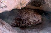 Un estudio en madrigueras busca conocer la evolución de la vida en Atacama